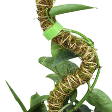 Load image into Gallery viewer, Bendable Moss Pole | 3 Pack
