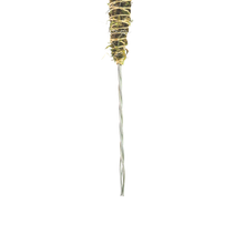 Load image into Gallery viewer, Bendable Moss Pole | 3 Pack