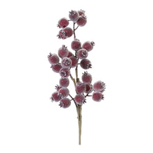 Load image into Gallery viewer, Icy Pod Branch