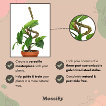 Load image into Gallery viewer, Bendable Moss Pole | 3 Pack