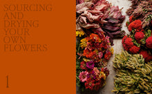 Load image into Gallery viewer, Designing with Dried Flowers