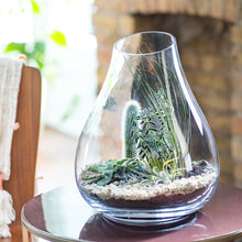 Load image into Gallery viewer, Artisan Terrarium