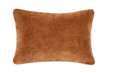 Load image into Gallery viewer, Heirloom Velvet Pillow | Hazel