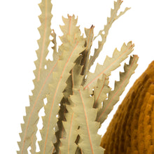 Load image into Gallery viewer, Aspen Gold Banksia Flower