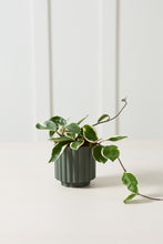 Load image into Gallery viewer, Carmen Pot | Dark Green