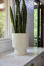 Load image into Gallery viewer, Elliot Pot | White