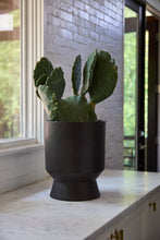 Load image into Gallery viewer, Elliot Pot | Black