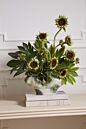 Load image into Gallery viewer, Thallow Vase