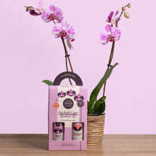Load image into Gallery viewer, Orchid Essential Kit