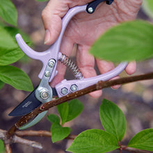 Load image into Gallery viewer, Garden Pruners