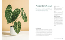 Load image into Gallery viewer, Welcome to the jungle