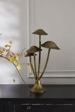 Load image into Gallery viewer, Maitake Mushroom Forest