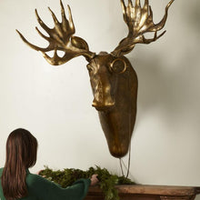 Load image into Gallery viewer, Moose Head