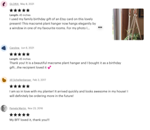 Load image into Gallery viewer, Macrame Plant Hanger | Copper Accent