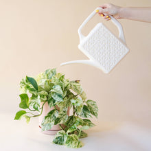 Load image into Gallery viewer, Breeze Block Watering Can l Ivory