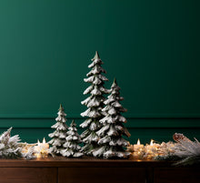 Load image into Gallery viewer, Snowy Trees