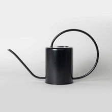 Load image into Gallery viewer, Stainless Steel Watering Can