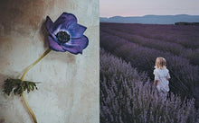Load image into Gallery viewer, Flowers of Provence