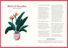 Load image into Gallery viewer, Green Dumb Guide to Houseplants