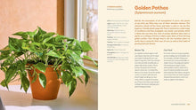 Load image into Gallery viewer, For the Love of Houseplants