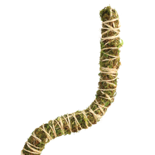 Load image into Gallery viewer, Bendable Moss Pole | 3 Pack