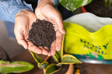 Load image into Gallery viewer, Organic Plant Food