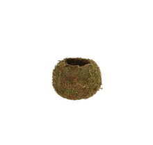 Load image into Gallery viewer, Kokedama Ball