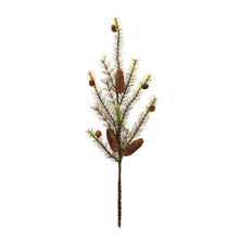 Load image into Gallery viewer, Mixed Pinecone Spray