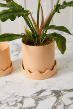 Load image into Gallery viewer, Pissaro Pot | Peach