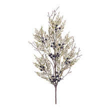 Load image into Gallery viewer, Icy Juniper Spray