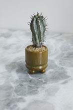 Load image into Gallery viewer, Ferris Footed Pot