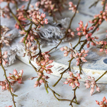 Load image into Gallery viewer, Coral Succulent Branch