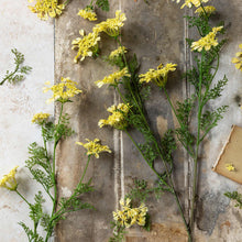 Load image into Gallery viewer, Wild Dill Faux Floral