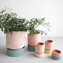Load image into Gallery viewer, Hoff Terracotta Planter | Rosa