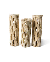 Load image into Gallery viewer, Natural Cholla Wood