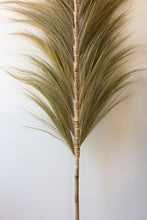 Load image into Gallery viewer, Fan Palms with Bamboo Stems