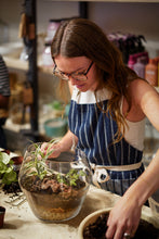 Load image into Gallery viewer, November Terrarium Workshop