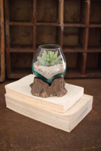 Load image into Gallery viewer, Blown Glass Bowl | Driftwood Base