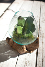 Load image into Gallery viewer, Blown Glass Bowl | Driftwood Base