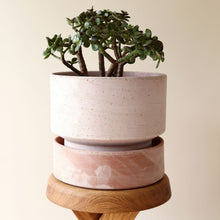 Load image into Gallery viewer, Hoff Terracotta Planter | Rosa