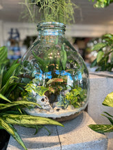 Load image into Gallery viewer, Terror-arium Workshop