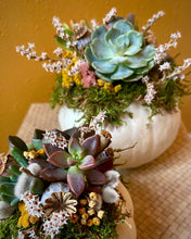 Load image into Gallery viewer, Succulent Pumpkin Workshop