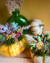 Load image into Gallery viewer, Succulent Pumpkin Workshop
