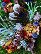 Load image into Gallery viewer, Air Plant &amp; Moss Frame Workshop
