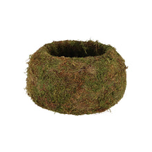 Load image into Gallery viewer, Kokedama Ball