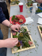 Load image into Gallery viewer, Botanical Frame Workshop