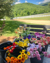 Load image into Gallery viewer, Compote Flower Arranging Workshop