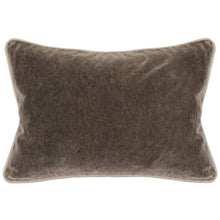 Load image into Gallery viewer, Heirloom Velvet Pillow | Desert