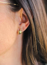 Load image into Gallery viewer, Strawberry Studs