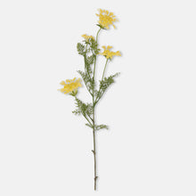 Load image into Gallery viewer, Wild Dill Faux Floral